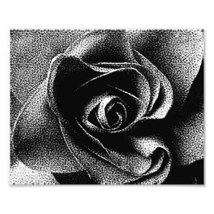 BLACK ROSE PHOTO PRINT