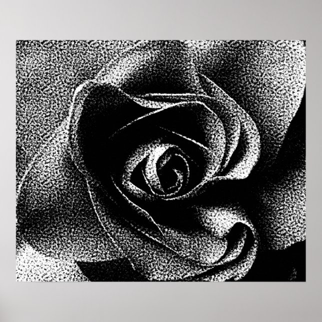 BLACK ROSE POSTER (Front)