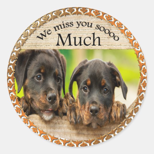 Black Rottweiler cute puppy dogs with sad faces Classic Round Sticker (Front)