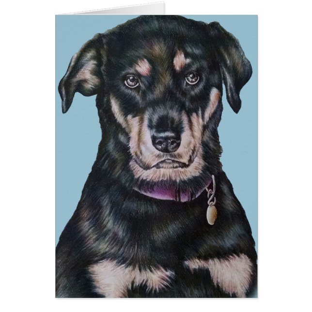 Black Rottweiler Dog Drawing Portrait (Front)