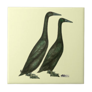 Black Runner Ducks Ceramic Tile