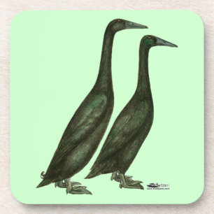Black Runner Ducks Coaster