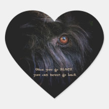 Black Russian Terrier