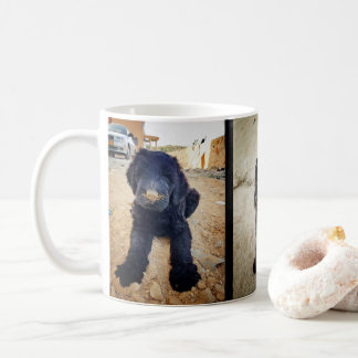 Black Russian Terrier Mug