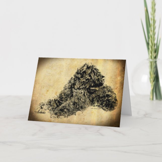 Black Russian Terrier Old Time Card (Front)