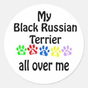 Black Russian Terrier Walks Design Classic Round Sticker