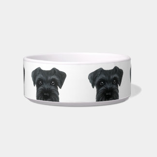 Black Schnauzer original bowls