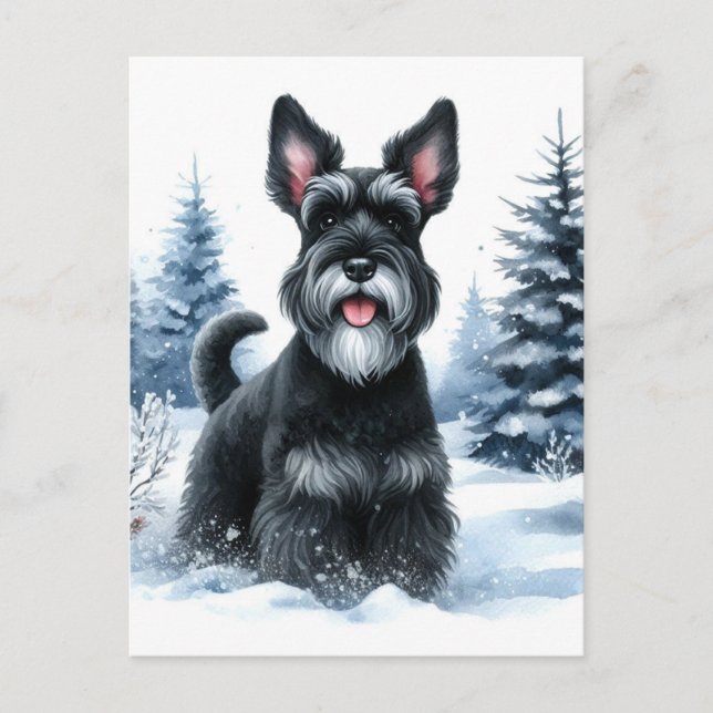 Black Schnauzer Winter Watercolor Art Postcard (Front)