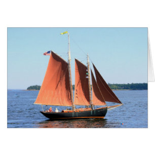 black schooner with red sails