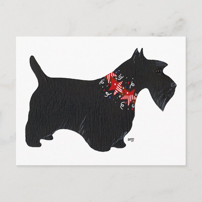 Black Scottish Terrier Holiday Collar Postcard (Front)