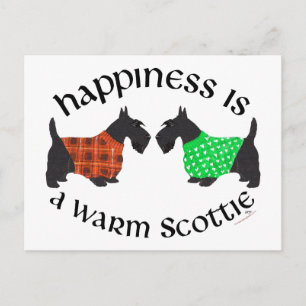 Black Scottish Terriers Happiness Postcard