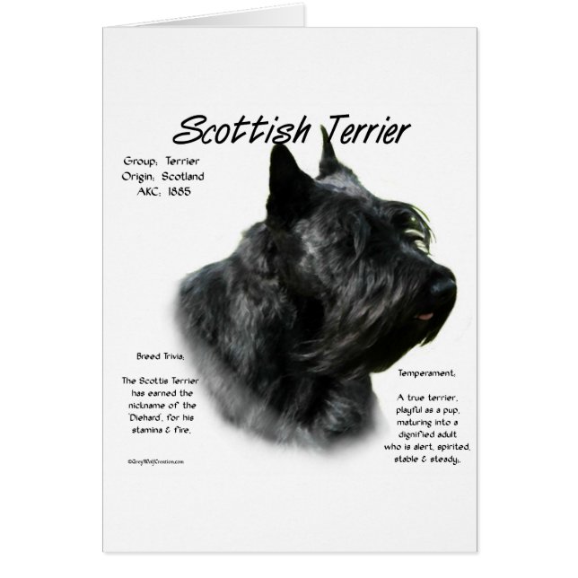 Black Scotty History  (Front)