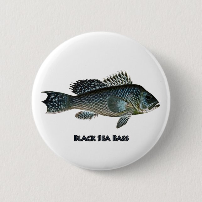 Black Sea Bass 6 Cm Round Badge (Front)