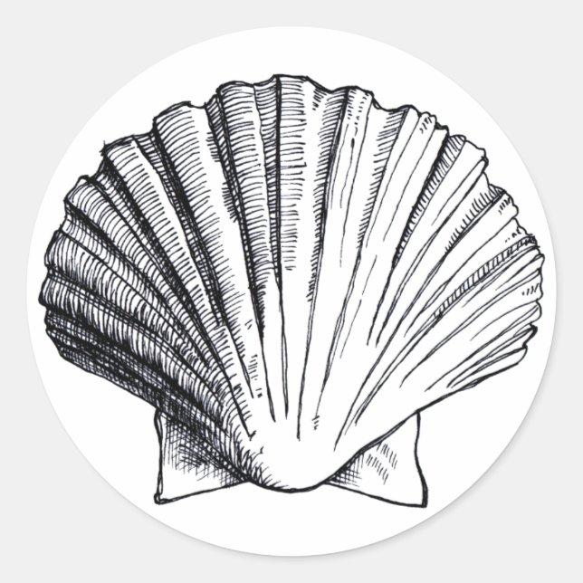 Black Sea Shell Sticker (Front)