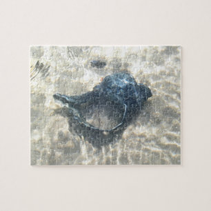 Black Seashell Jigsaw Puzzle