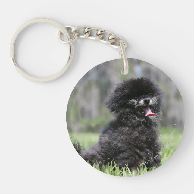 Black Senior Pomeranian Key Ring (Front)
