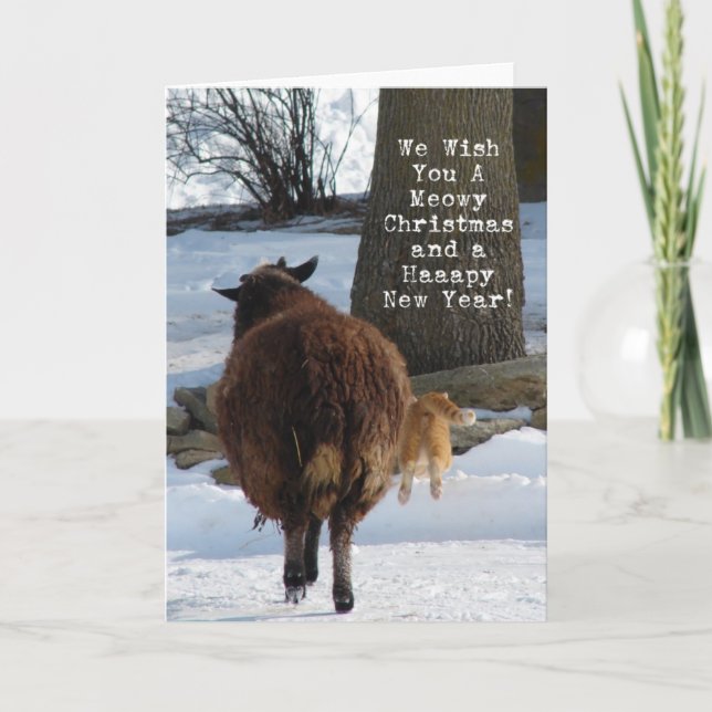 Black Sheep and Cat, Christmas Fun Holiday Card (Front)
