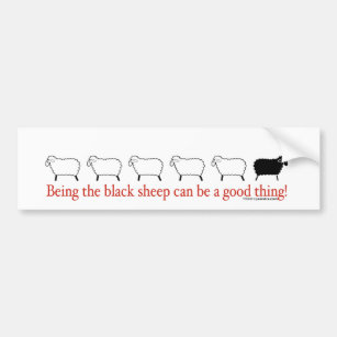 Black Sheep Bumper Sticker