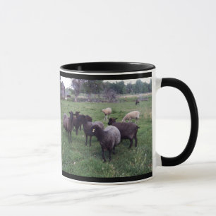 Black Sheep Mug