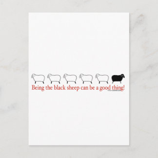 Black Sheep Postcard