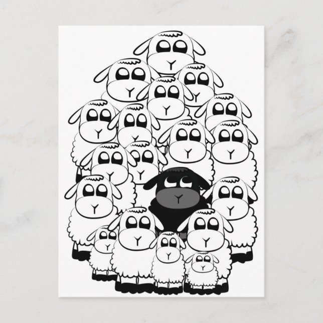 Black Sheep Postcard (Front)