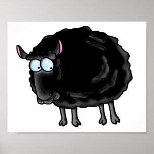 Black sheep poster