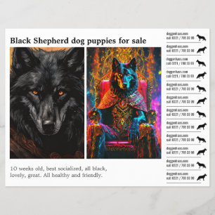 Black Shepherd dog Flyer