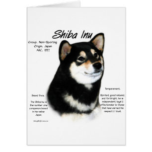 Black Shiba Inu  History 