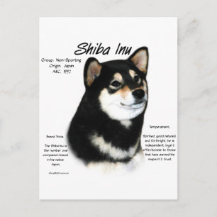 Black Shiba Inu History Postcard
