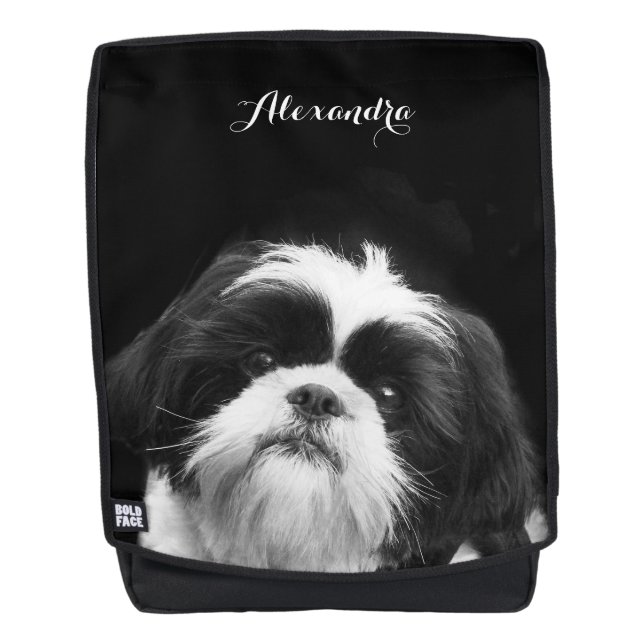 black Shih Tzu dog boldface backpack (Front)