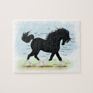 Black Shire Horse Educational Anatomical Chart Jigsaw Puzzle