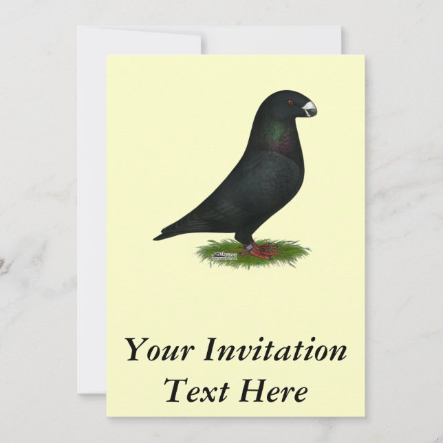 Black Show Racer Invitation (Front)