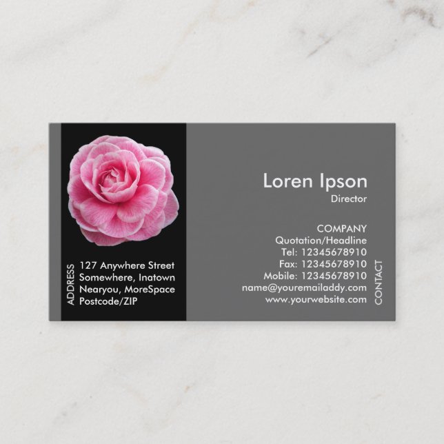 Black Side Band Flower - Pink Camellia Business Card (Front)