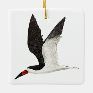 Black Skimmer Ceramic Ornament