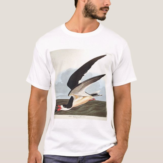 Black Skimmer or Shearwater T-Shirt (Front)