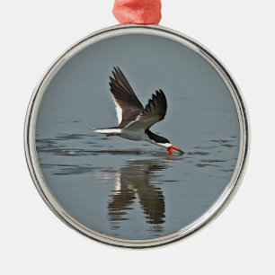 Black Skimmer Photo Metal Ornament