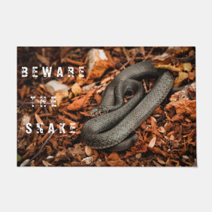 Black snake doormat