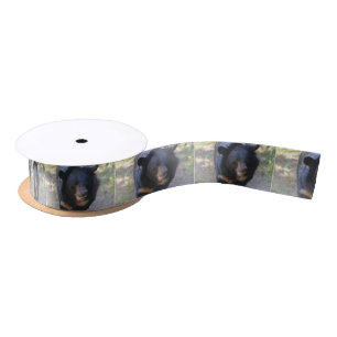 Black Spectacled Bear Satin Ribbon