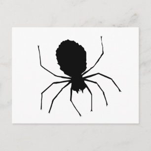 Black Spider Love_ Postcard