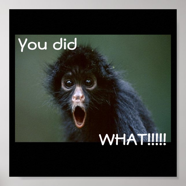 black-spider-monkey edited, You did, WHAT!!!!! Poster (Front)