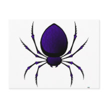 Black Spider
