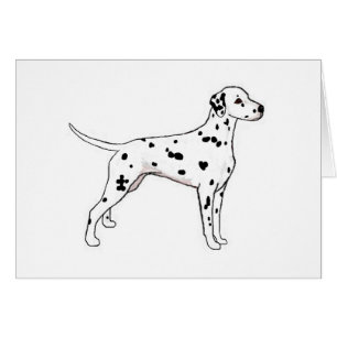 Black-Spotted Dalmatian