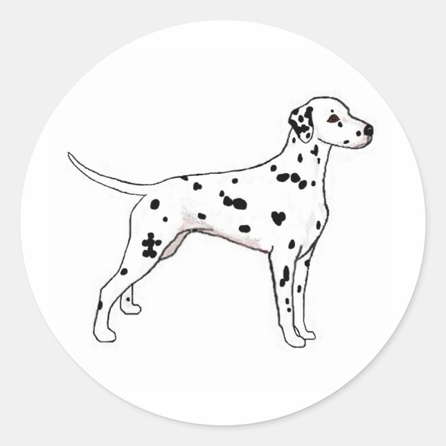 Black-Spotted Dalmatian Classic Round Sticker (Front)