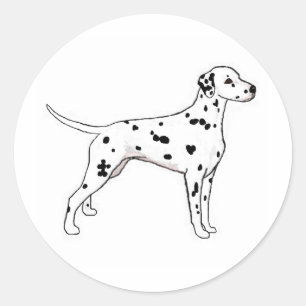 Black-Spotted Dalmatian Classic Round Sticker
