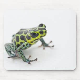 Black Spotted Green Poison Dart Frog Mouse Pad