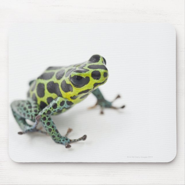 Black Spotted Green Poison Dart Frog Mouse Pad (Front)
