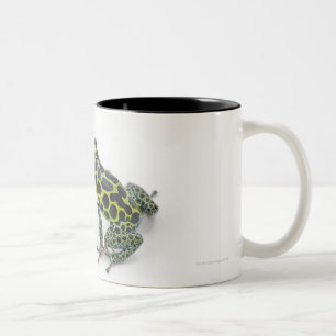 Black Spotted Green Poison Dart Frog Two-Tone Coffee Mug