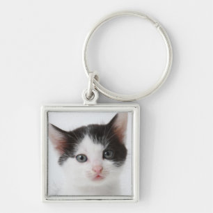 Black Spotted Kitten Key Ring