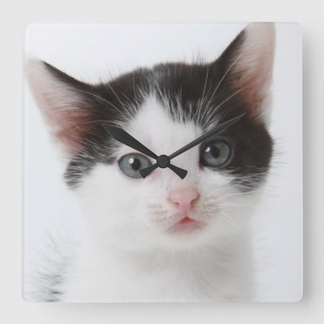 Black Spotted Kitten Square Wall Clock (Front)