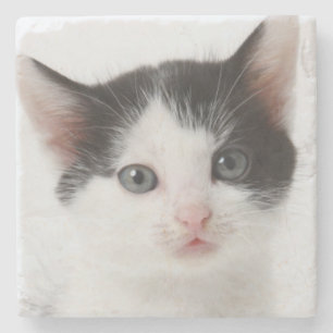 Black Spotted Kitten Stone Coaster